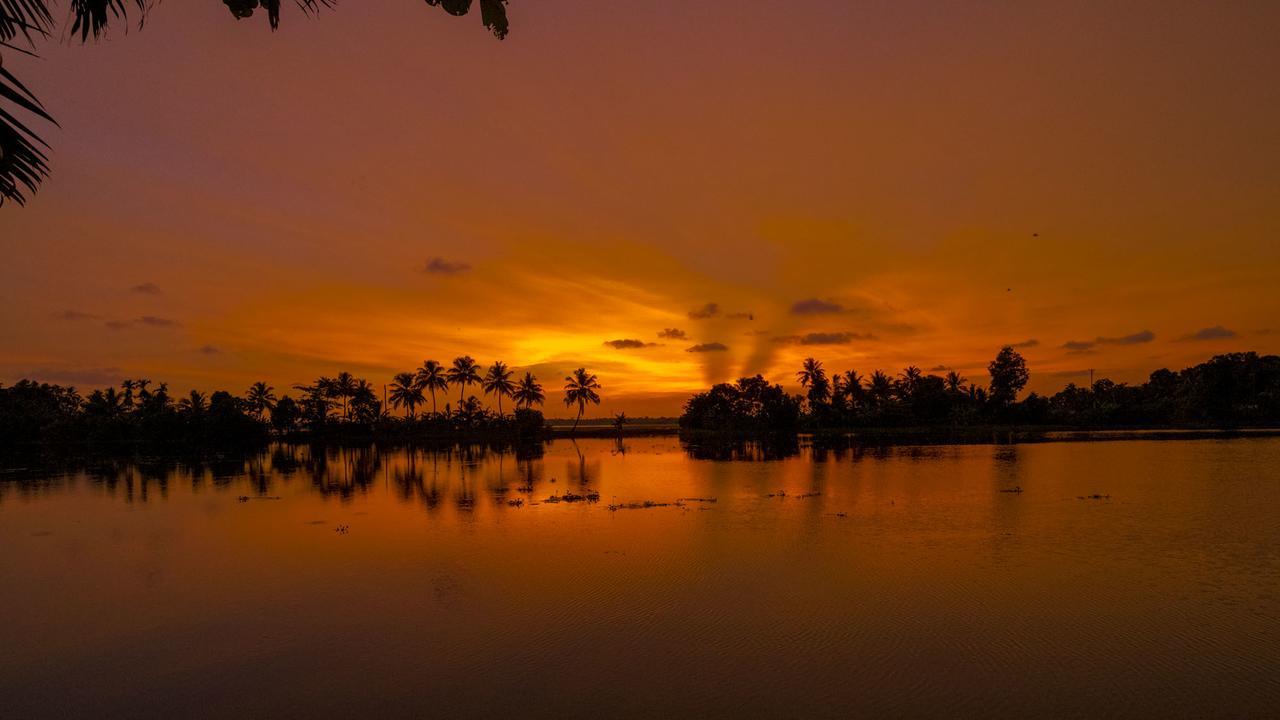 Warmth Lake Haven Alappuzha Eksteriør billede